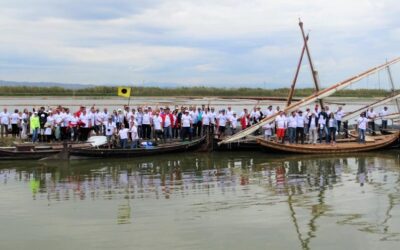 Setena exhibició de Vela Llatina